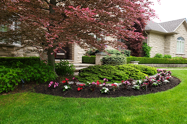 A flower garden with a couple of bushes in the front porch of a house.