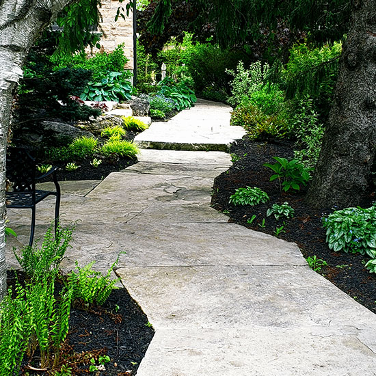 A stone walkway through trees in backyard garden